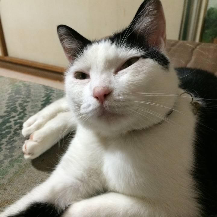 F570458b 0786 4559 8f02 7a9800f025c5