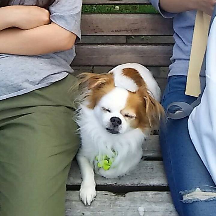 F57116d8 f2f5 4495 b5fc 0e8e5aa08743