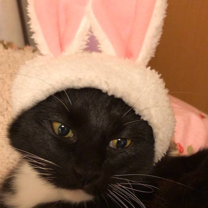 F5714b83 1f38 4ad0 918f 6ce360682de8