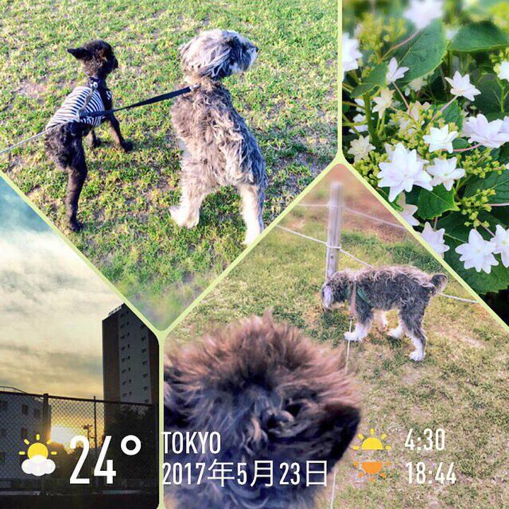 F571693d 29e1 4b67 a153 1bdc89f82a99