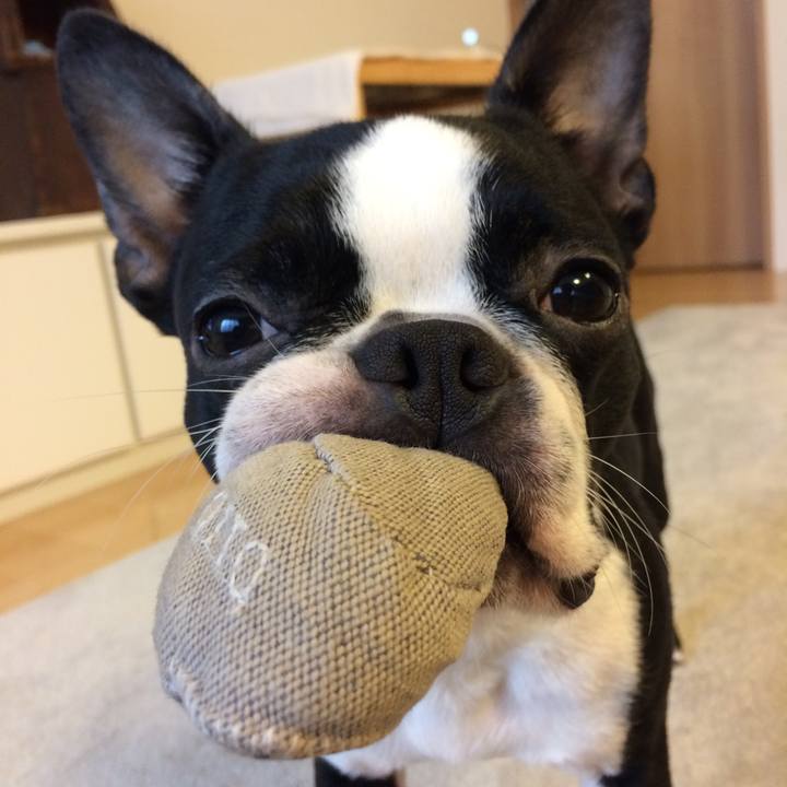 F5718fcb d20b 45b3 886b 0b0b8b823c71