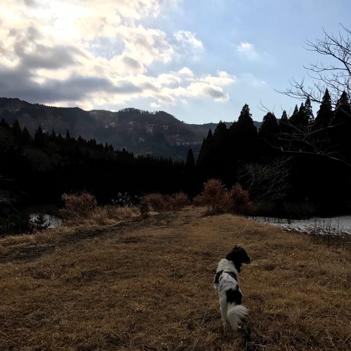 F5720888 2ac3 4716 a1c6 44fdfb703128