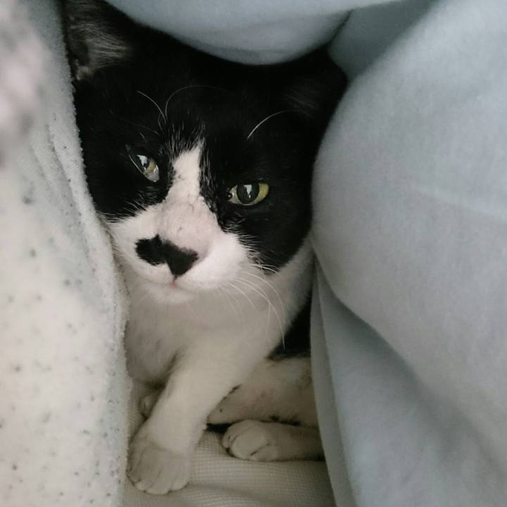 F57304a9 9777 4676 8540 ac618bdc8383