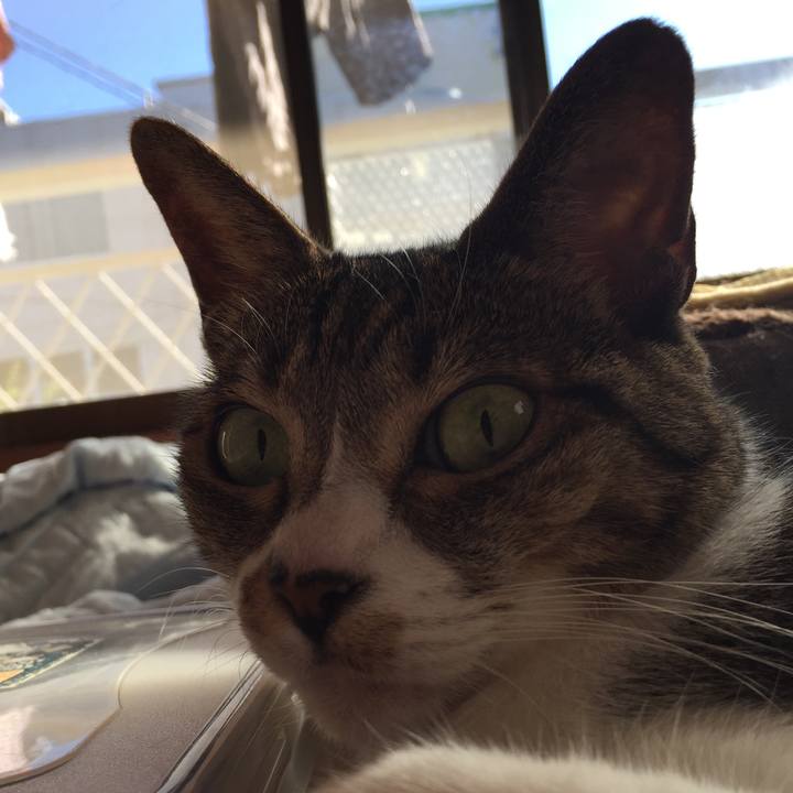 F5734249 bf92 4273 9e44 33b42b3201f1