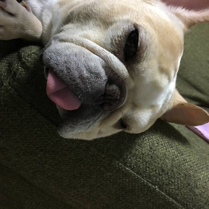 F573a213 614c 4c11 a0fc dfd7363a4143