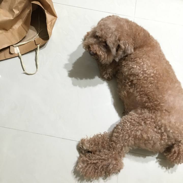 F573e251 71a1 49e9 8b33 d8a72d1a157d