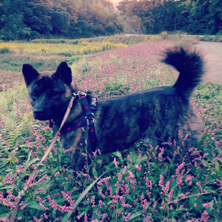 F574194d 9d98 475a bf07 c008b40bfd34