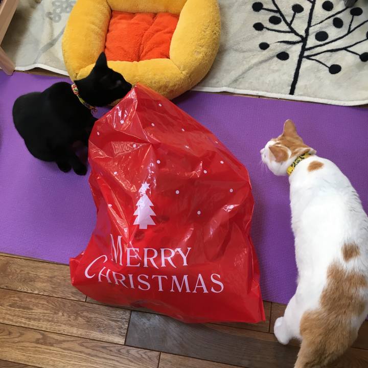 F5743e88 1a1c 4d46 ba4b 17c370d3a761