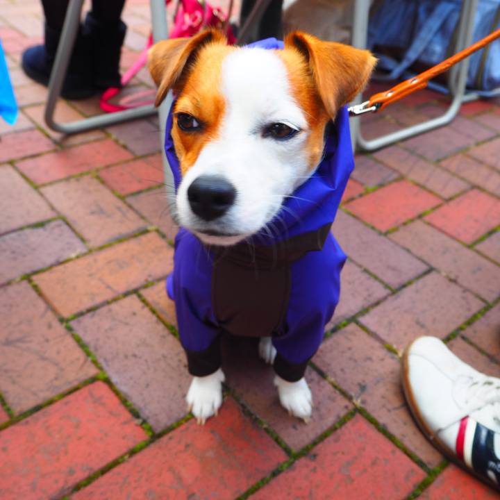 F574e3ae 45d6 4b0c b19b b3d887a8724f