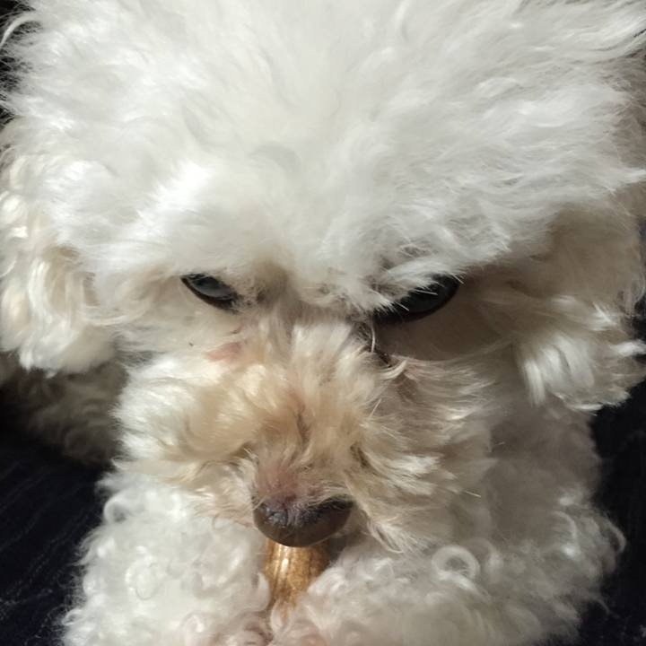 F57573a5 9a0e 4609 a29c 0c9e7e303c82