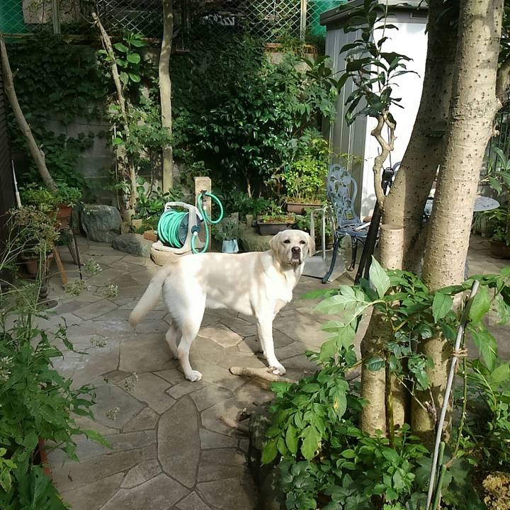 F575a195 3180 4a8a 96e2 3dd9de4bb08a