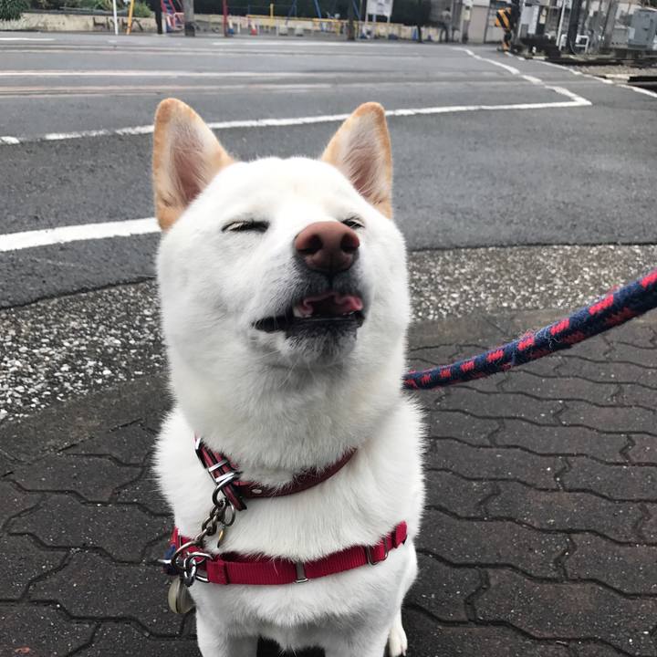 F575b138 e903 425c 8413 74344d03eceb