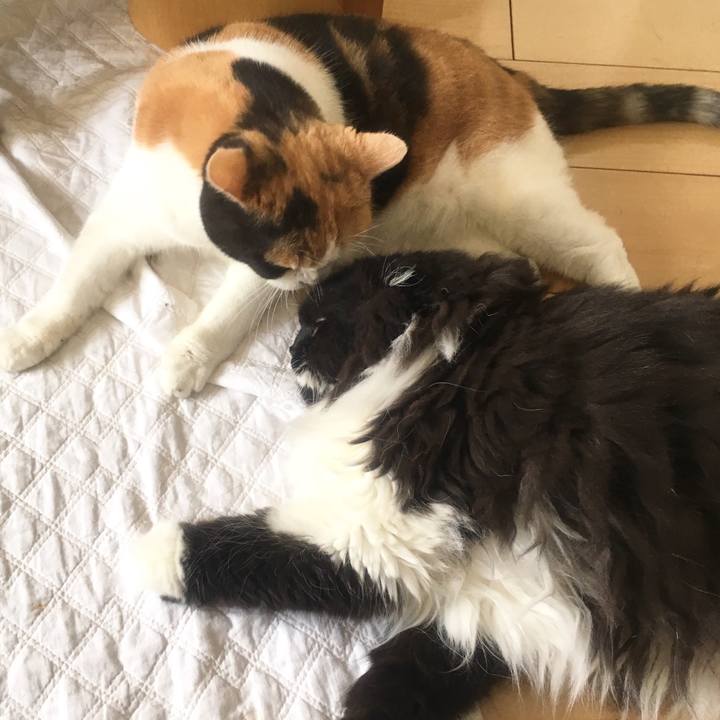 F5764ca7 6c56 42dc abd2 50e028645e9a