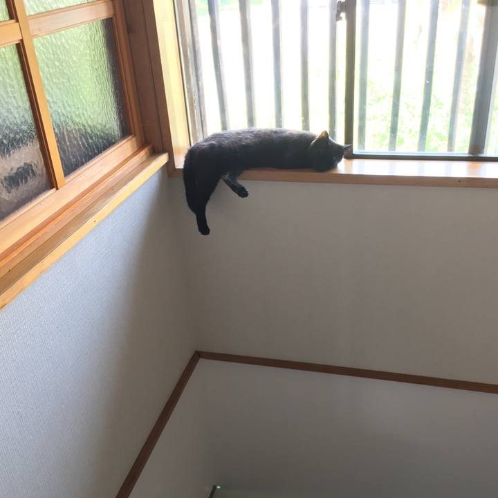 F576c106 ab02 4ff4 8a3f 3a6493e31d4a