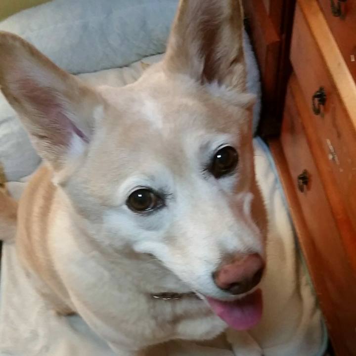 F576e510 f68b 4396 8139 18723d0e363d