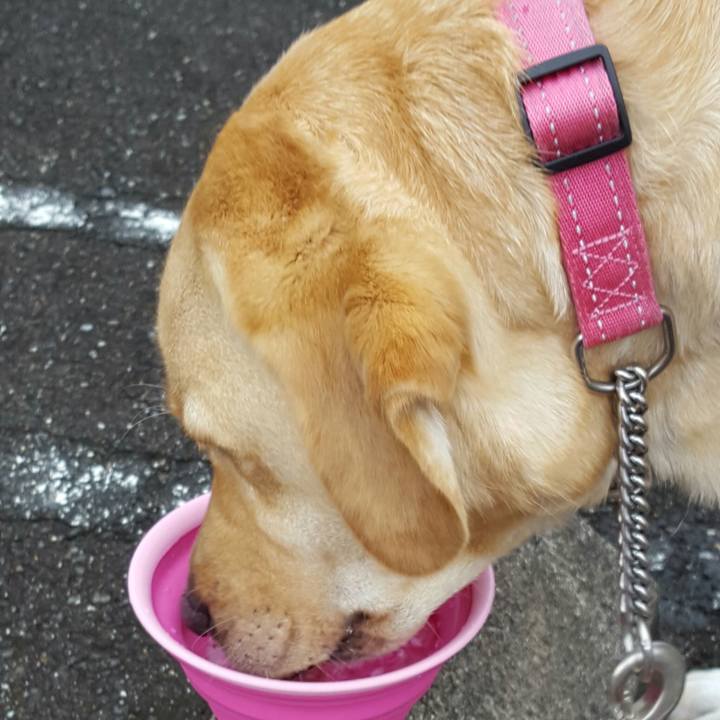 F57767be c61f 4263 9f3e ad5f5d90452d