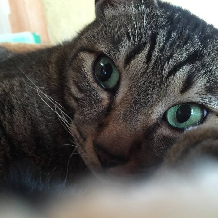 F5778846 5c5f 47ae bae9 de1096789834