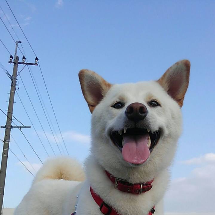 F577c8ee 43ca 4378 9aaa 33b9e4e2efcf