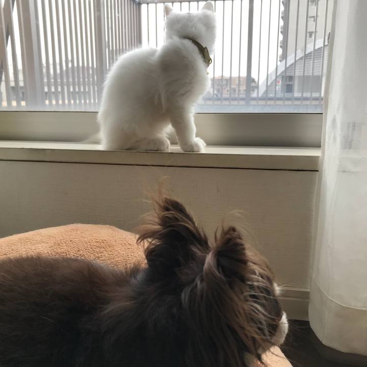 F578c62a c80a 4e85 bafa 162bfae4cd24