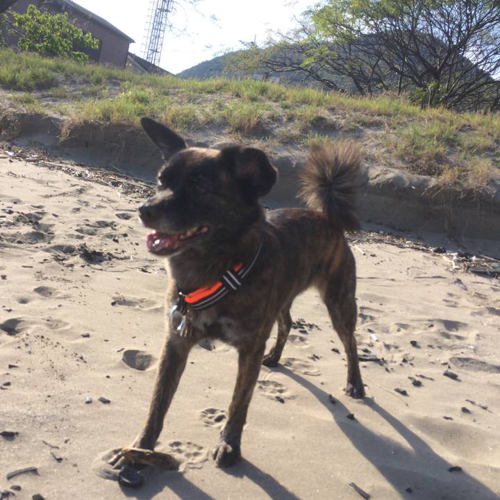 F578f724 9731 4c1f 8e8f 9ce065742377