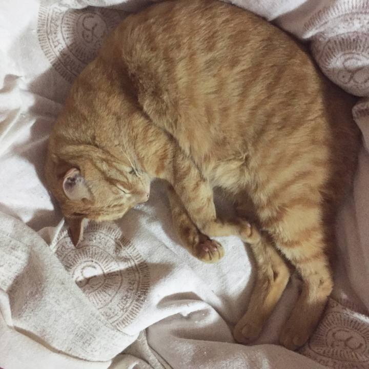 F5791224 6e9d 4e68 9f1d ae8634fb27b5