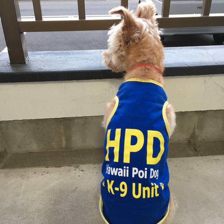 F5799b5a f82b 4cb6 b251 36b565610f54