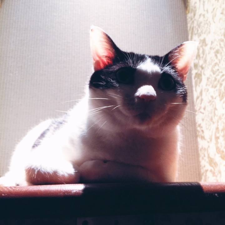 F579d173 3ee7 4a09 a9f0 3b79f3091761