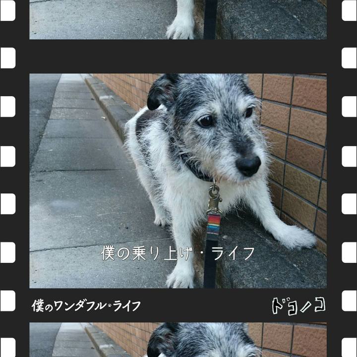 F57ab869 ca80 464e a753 010372d819ca