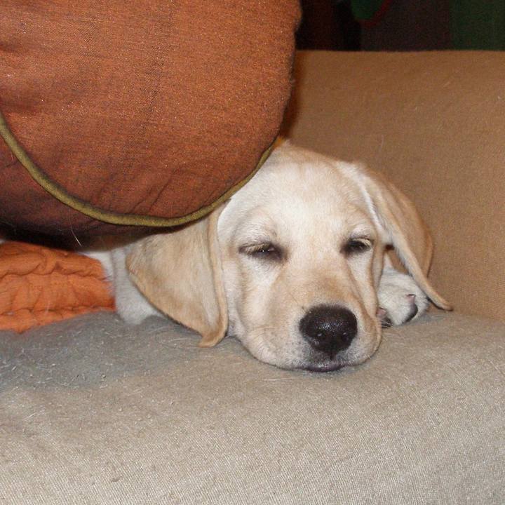 F57af3bb f2dd 40b0 8c80 98f49a4541c3