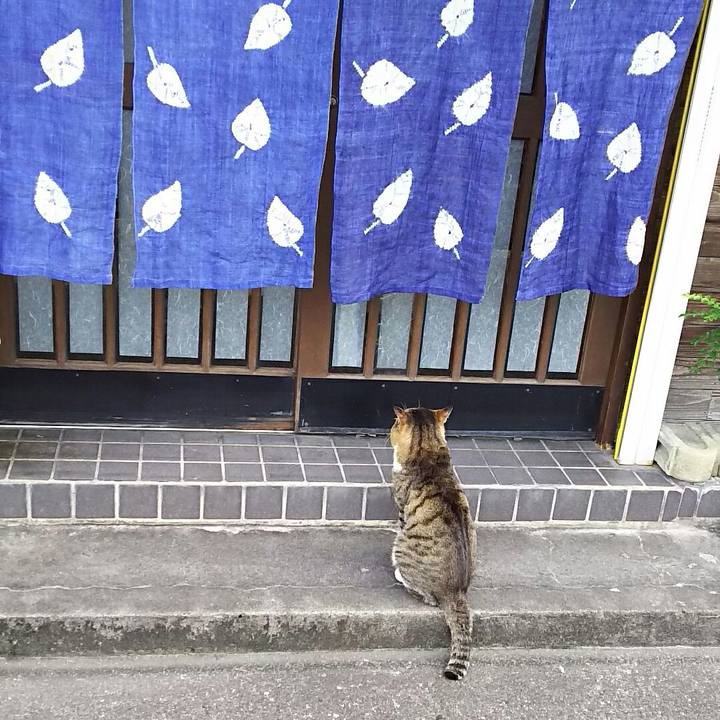 F57b8e23 90dd 430e 823c 74fb9cc839b2