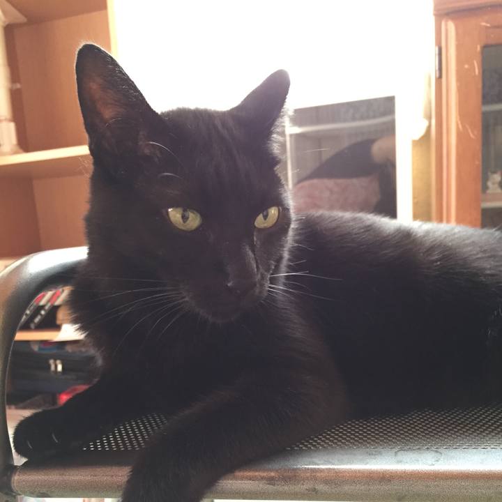 F57cd0cf f224 4310 bd67 2b6d46024c82