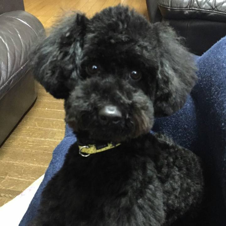 F57cd7a0 41f9 4789 a7a1 8e2e79f43d57