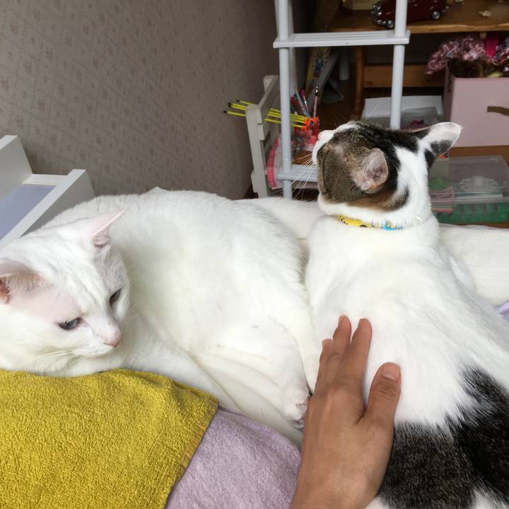 F57d9d64 1bd1 40f3 99fb 5758c42ec62f