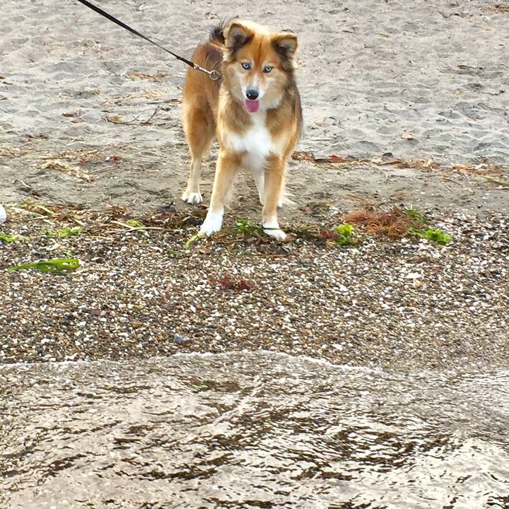 F57e0000 a315 43a4 89a7 9e9a2b95146a