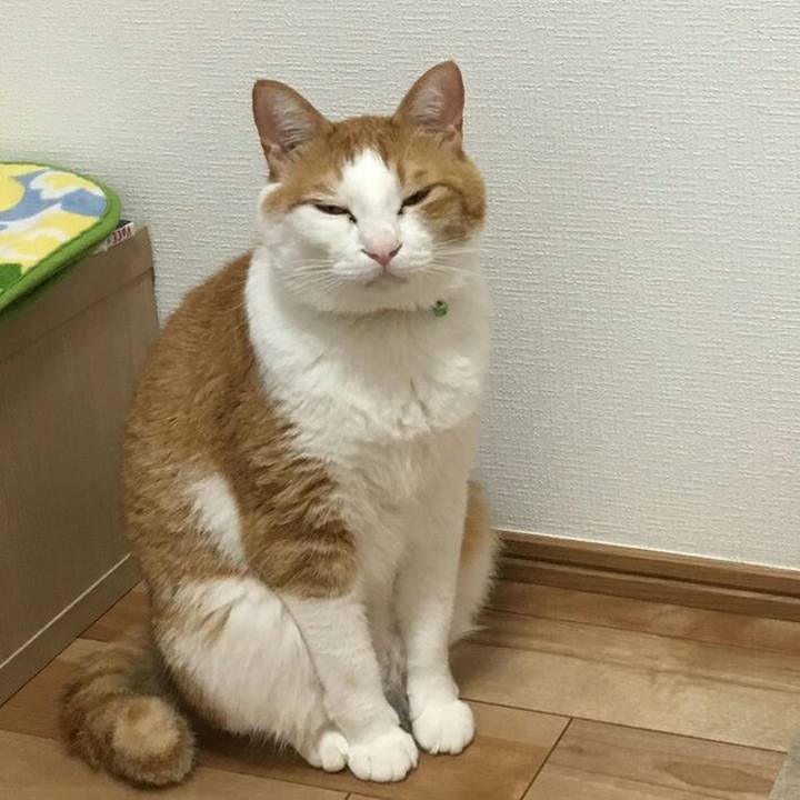 F57e0f38 dff4 4c95 94b1 cde071d4dc77