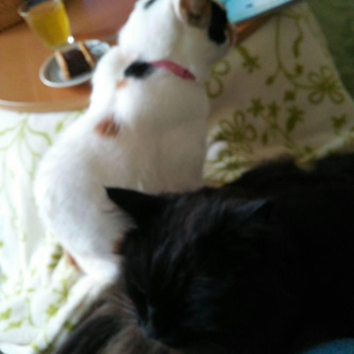 F57e920e 3565 454a 943a bf16319df16e