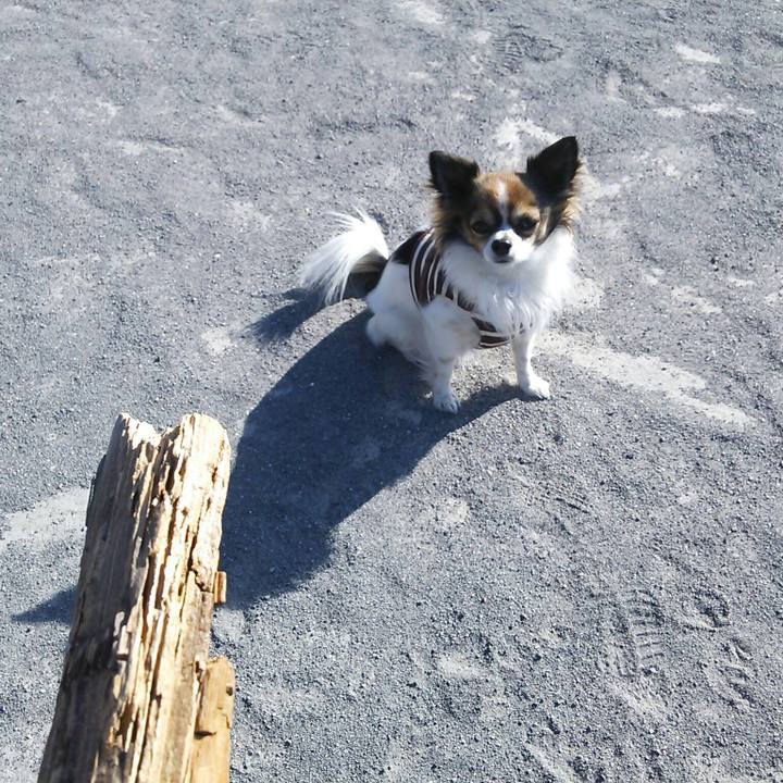 F57f03f1 8531 4568 8b36 32c9eb1fde79