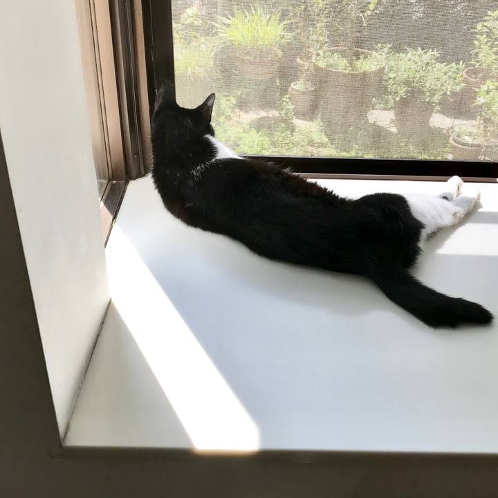 F57f90e2 7ffa 4deb a453 0d1002496498