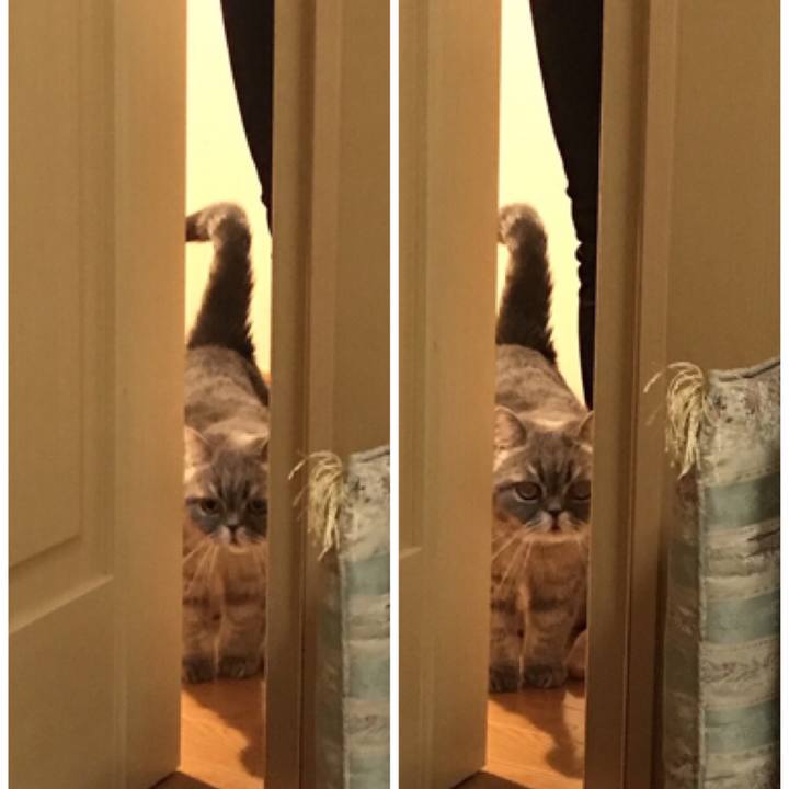 F57f9dd5 9f17 412a 8fdb 337d15e4e1ef