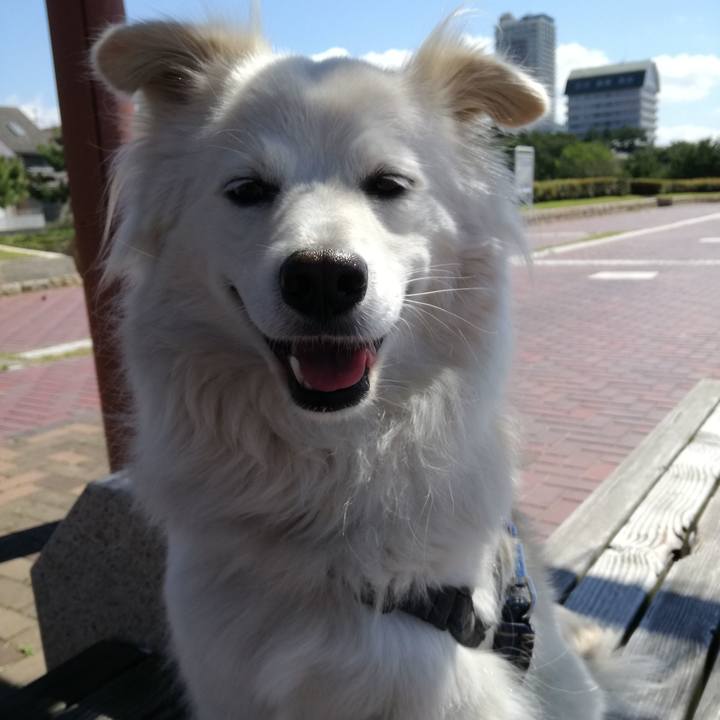 F580421b e6be 424e 89c7 9c812cd4e730