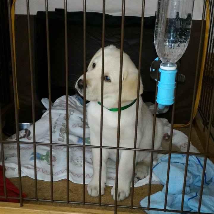 F58089b2 f26c 4091 9309 61fa22a94662