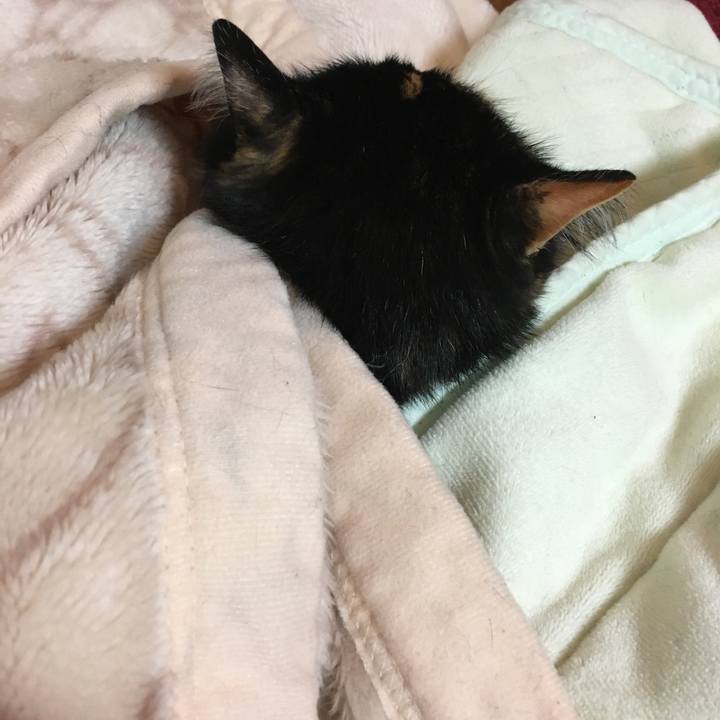 F581c814 3263 4001 a335 8e69f36c889a