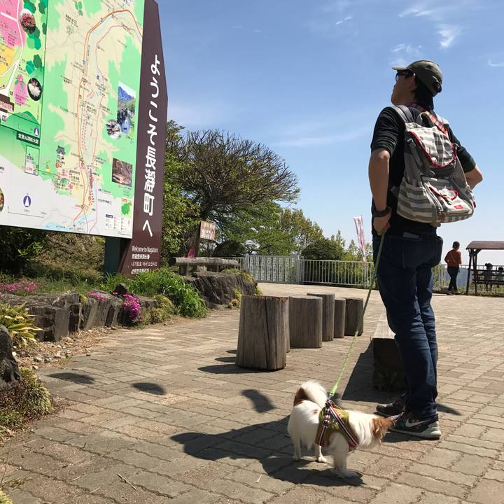 F581d79a 97f3 4500 990e 870023ef6957