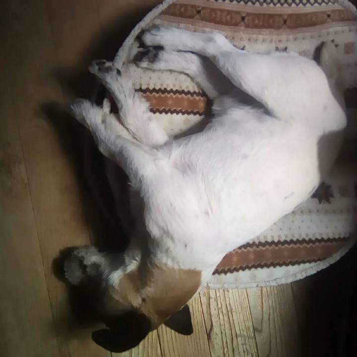 F581f2db e508 457f b3bb f5374074ad56