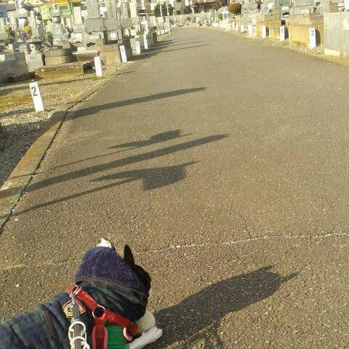 F5821998 804a 4446 991b d231ff0b155c