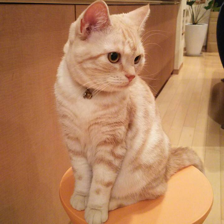 F5827143 5a78 4d04 b38c 571cd6bef222