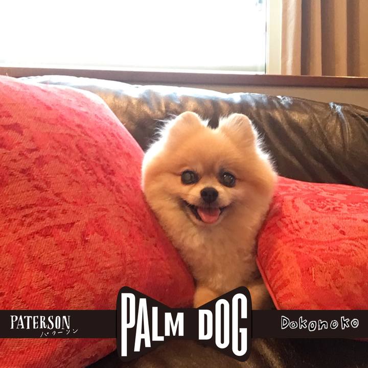 F583645d dc20 496d b205 8c8a5ff78fe0