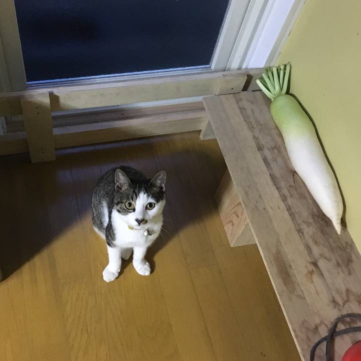 F5836e0a c378 4124 b9b4 63ee0d3f38de