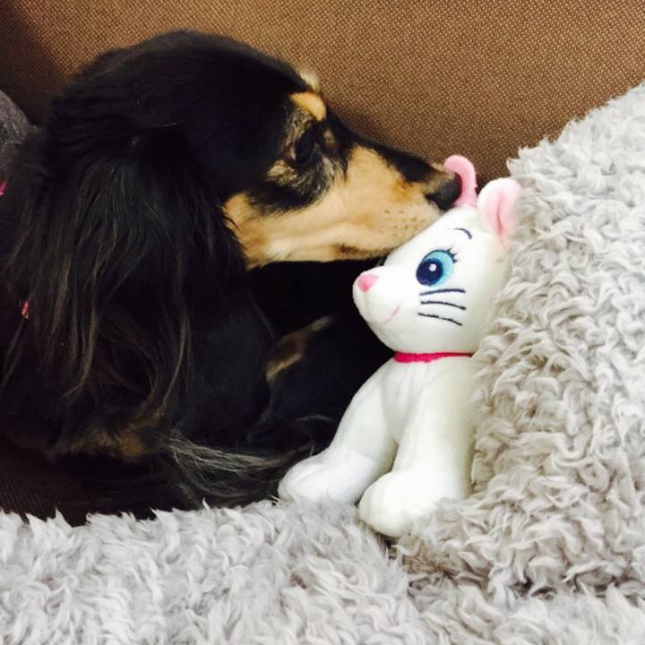 F5841655 6d75 4cdb a138 ec938e0b2679