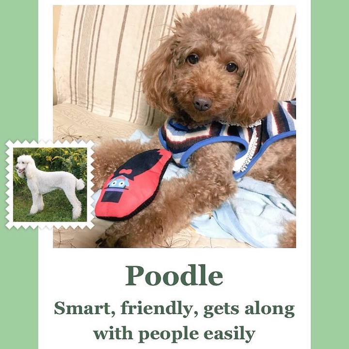 F584233e b0b2 4e82 9491 8452bcc20185